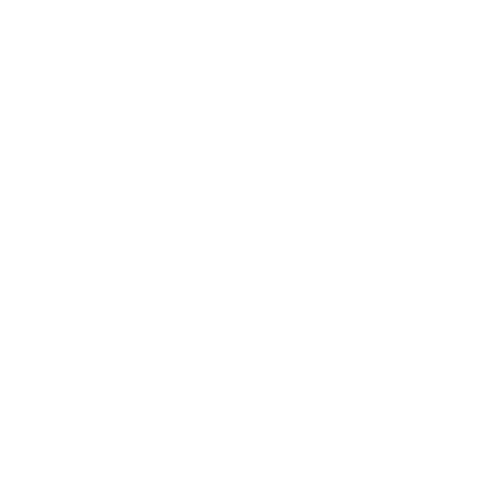 logo-ibrave-wit